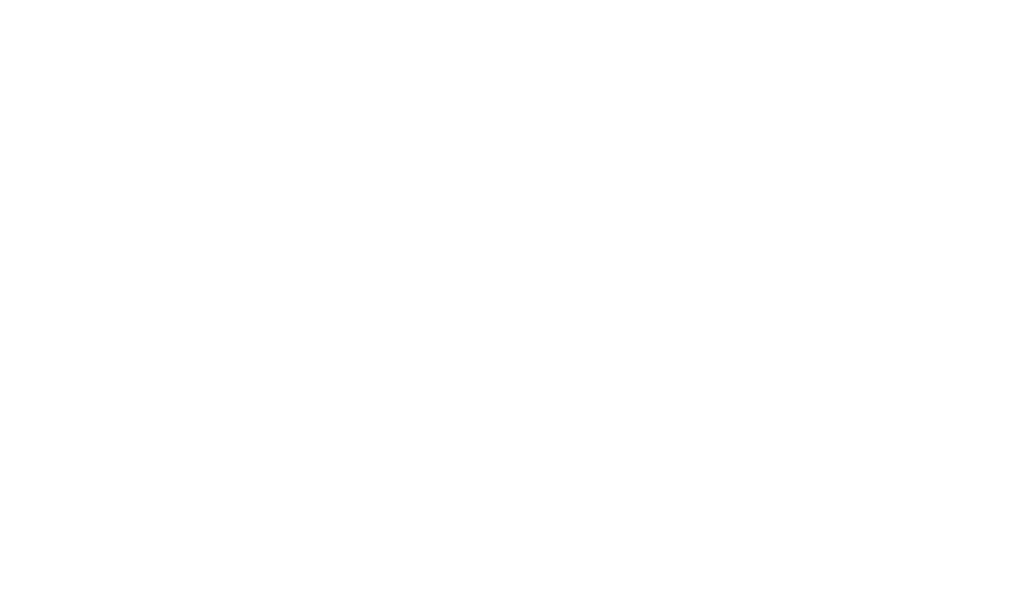 Salon Laki